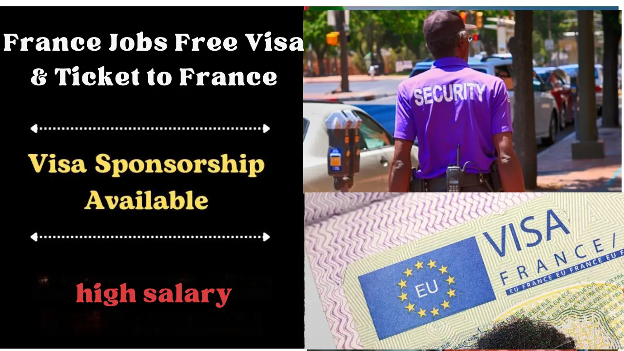 Foreign Service Diplomatic Officer in France: Free Visa Sponsorship